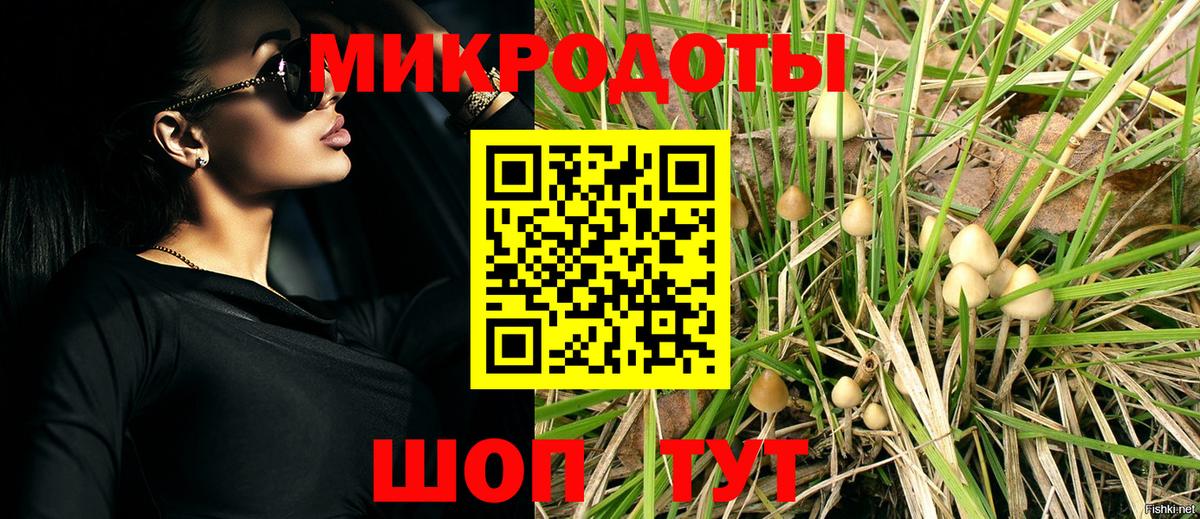 Междуреченск  Галлюциногенные грибы Psilocybine cubensis  Псилоцибиновые грибы Cubensis  Вход с VPN 