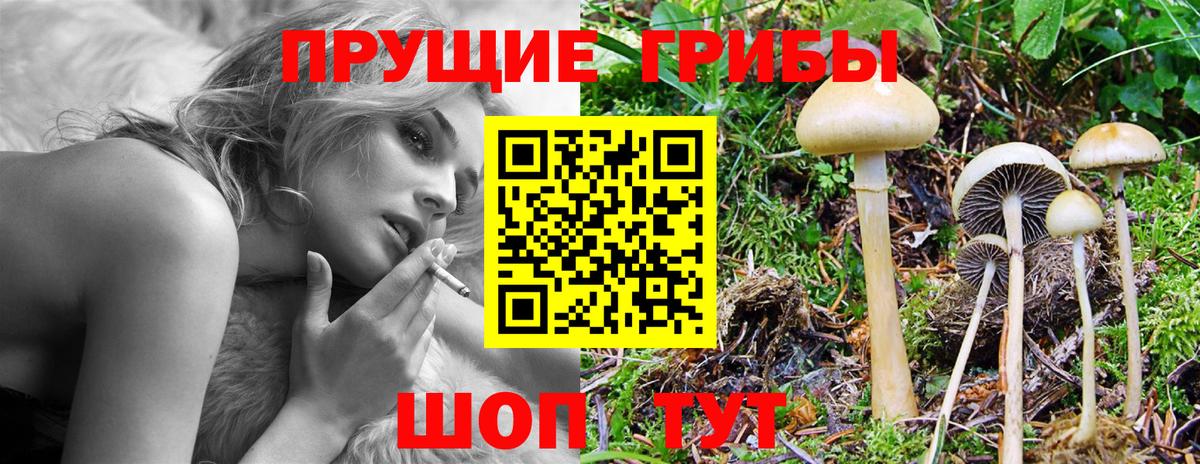 Галлюциногенные грибы ЛСД Междуреченск